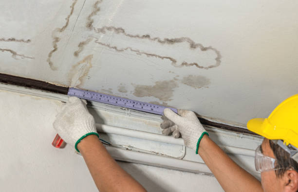 Reliable Basement Water Removal contractor in Alexandria, LA by Water Damage Irwin